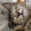にっこりmooちゃん