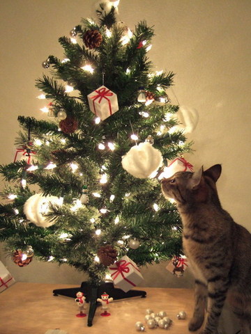 もうすぐクリスマス ： よる