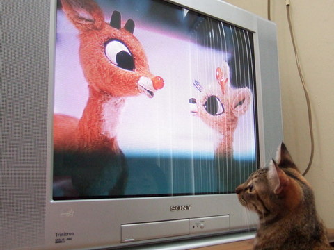 mooのクリスマス
