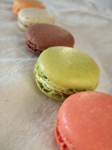 2006 macaron collection 2