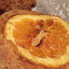 blueberry sour cream coffee cake,sunshine corn cakes