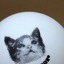ねこさんのボール