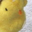 ピヨコちゃんがさらわれた！