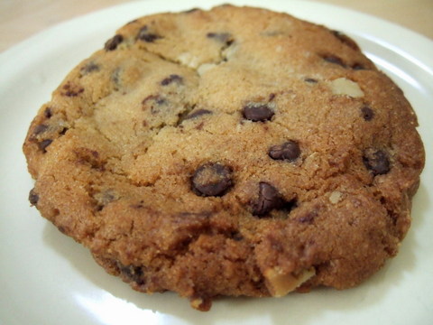 chocolate chip cookie 