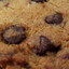 chocolate chip cookie 