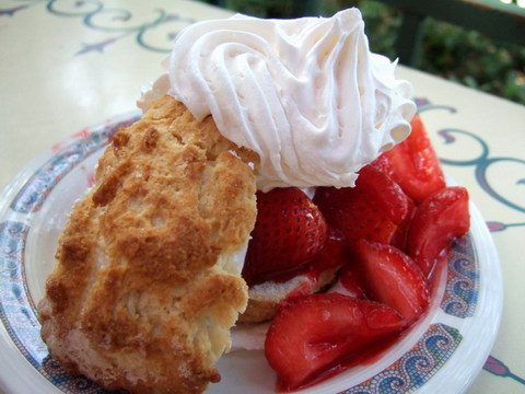 strawberry　shortcake
